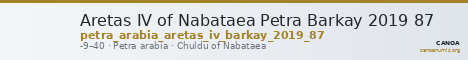 Aretas IV of Nabataea Petra Barkay 2019 87 — CANOA