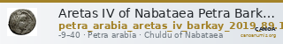 Aretas IV of Nabataea Petra Barkay 2019 89, 104, 123, 125, 129, 135 — CANOA