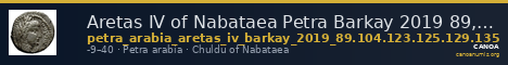 Aretas IV of Nabataea Petra Barkay 2019 89, 104, 123, 125, 129, 135 — CANOA