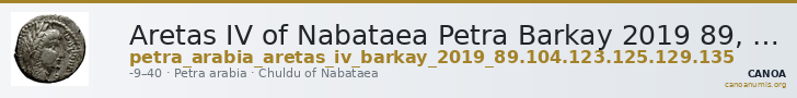 Aretas IV of Nabataea Petra Barkay 2019 89, 104, 123, 125, 129, 135 — CANOA