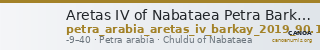 Aretas IV of Nabataea Petra Barkay 2019 90, 102, 106, 109-110, 120-1, 127-8, 138 — CANOA