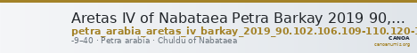 Aretas IV of Nabataea Petra Barkay 2019 90, 102, 106, 109-110, 120-1, 127-8, 138 — CANOA