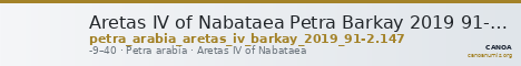 Aretas IV of Nabataea Petra Barkay 2019 91-2, 147 — CANOA