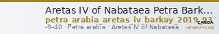 Aretas IV of Nabataea Petra Barkay 2019 93 — CANOA