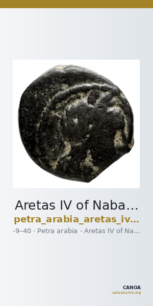 Aretas IV of Nabataea Petra Barkay 2019 94-5, 116-7 — CANOA