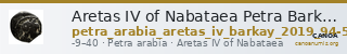 Aretas IV of Nabataea Petra Barkay 2019 94-5, 116-7 — CANOA