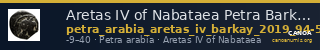 Aretas IV of Nabataea Petra Barkay 2019 94-5, 116-7 — CANOA