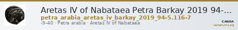 Aretas IV of Nabataea Petra Barkay 2019 94-5, 116-7 — CANOA