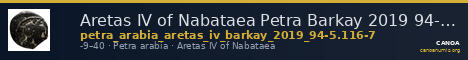 Aretas IV of Nabataea Petra Barkay 2019 94-5, 116-7 — CANOA