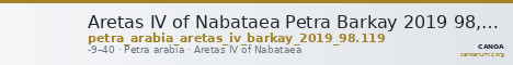 Aretas IV of Nabataea Petra Barkay 2019 98, 119 — CANOA