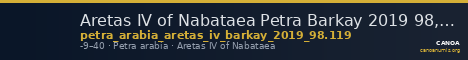 Aretas IV of Nabataea Petra Barkay 2019 98, 119 — CANOA