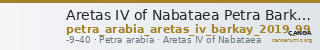 Aretas IV of Nabataea Petra Barkay 2019 99 — CANOA