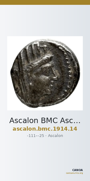 Ascalon BMC Ascalon 14 — CANOA