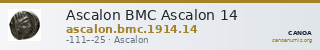 Ascalon BMC Ascalon 14 — CANOA