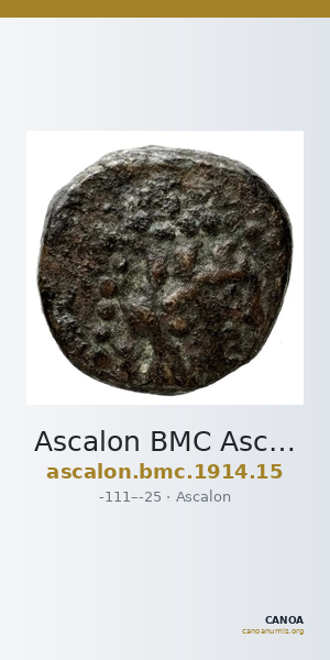 Ascalon BMC Ascalon 15 — CANOA