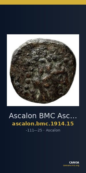 Ascalon BMC Ascalon 15 — CANOA