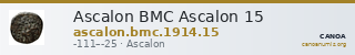 Ascalon BMC Ascalon 15 — CANOA