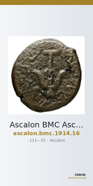 Ascalon BMC Ascalon 16 — CANOA