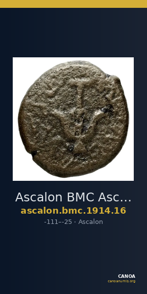 Ascalon BMC Ascalon 16 — CANOA