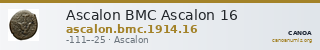 Ascalon BMC Ascalon 16 — CANOA