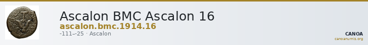 Ascalon BMC Ascalon 16 — CANOA