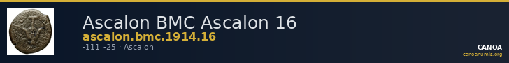 Ascalon BMC Ascalon 16 — CANOA