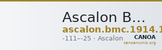 Ascalon BMC Ascalon 17 — CANOA