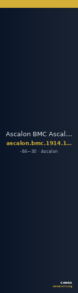 Ascalon BMC Ascalon 18-19 — CANOA