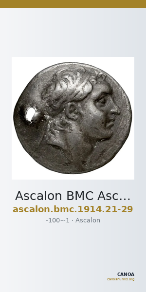 Ascalon BMC Ascalon 21-29 — CANOA
