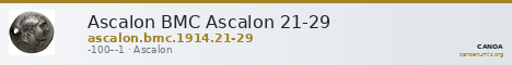 Ascalon BMC Ascalon 21-29 — CANOA