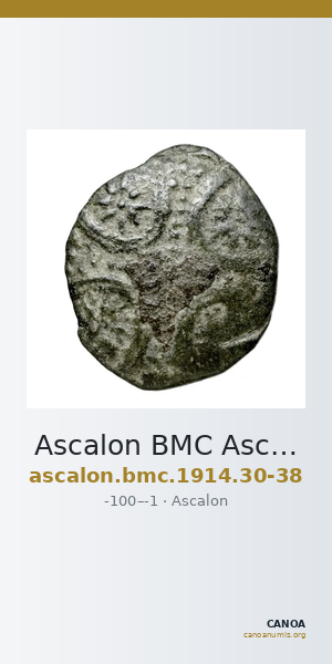 Ascalon BMC Ascalon 30-38 — CANOA