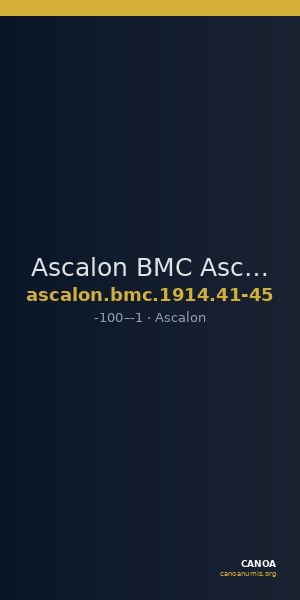 Ascalon BMC Ascalon 41-45 — CANOA