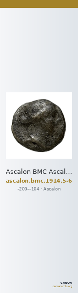 Ascalon BMC Ascalon 5-6 — CANOA