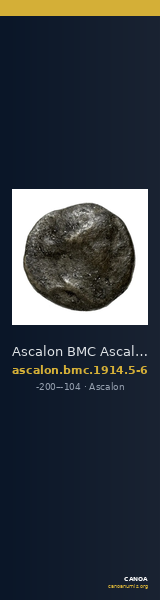 Ascalon BMC Ascalon 5-6 — CANOA