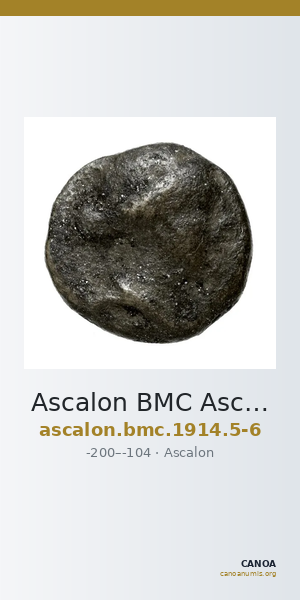 Ascalon BMC Ascalon 5-6 — CANOA