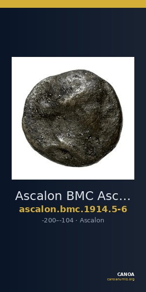 Ascalon BMC Ascalon 5-6 — CANOA