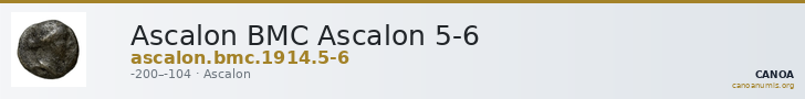 Ascalon BMC Ascalon 5-6 — CANOA