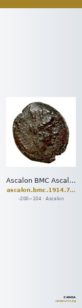 Ascalon BMC Ascalon 7-13 — CANOA