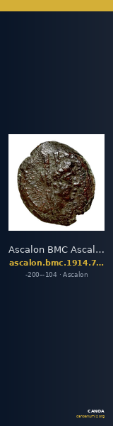 Ascalon BMC Ascalon 7-13 — CANOA