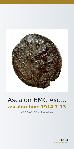 Ascalon BMC Ascalon 7-13 — CANOA