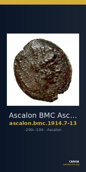 Ascalon BMC Ascalon 7-13 — CANOA