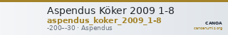 Aspendus Köker 2009 1-8 — CANOA