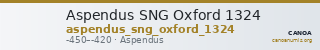 Aspendus SNG Oxford 1324 — CANOA