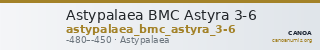 Astypalaea BMC Astyra 3-6 — CANOA