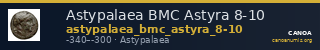 Astypalaea BMC Astyra 8-10 — CANOA