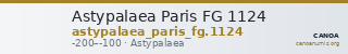 Astypalaea Paris FG 1124 — CANOA