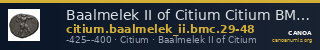 Baalmelek II of Citium Citium BMC Citium 29-48 — CANOA