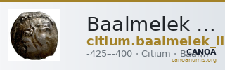 Baalmelek II of Citium Citium BMC Citium 49 — CANOA
