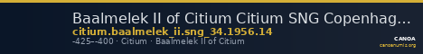 Baalmelek II of Citium Citium SNG Copenhagen Citium 14 — CANOA