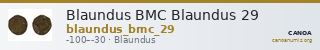 Blaundus BMC Blaundus 29 — CANOA